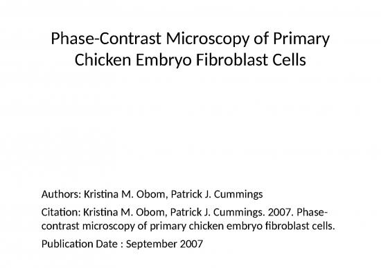 picture Tissue Culture Slideshare 77082 | Phase Contrast Microscopy Of Primary Chicken Embryo Fibroblast Cells