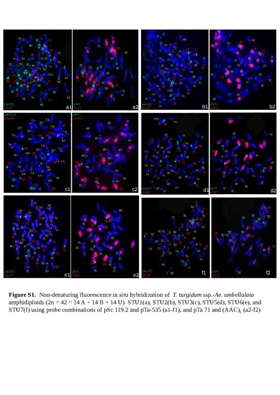 picture1_In Situ Hybridization Slideshare 77408 | S1479262118000254sup001