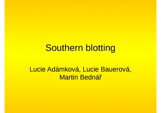 picture1_Southern Blotting