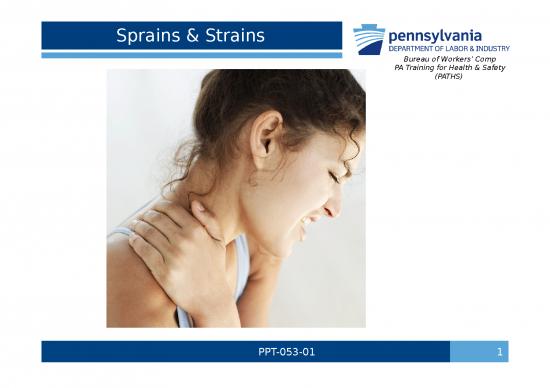 picture_Ppt Physical Therapy 78147 | Sprains And Strains Power Point