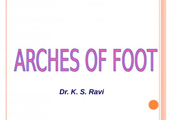 picture_Powerpoint Foot 80625 | Arches Of Foot