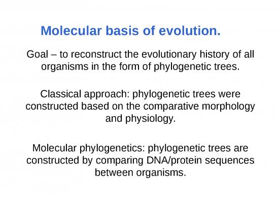 picture Evolution Ppt 79147 | Lecture8