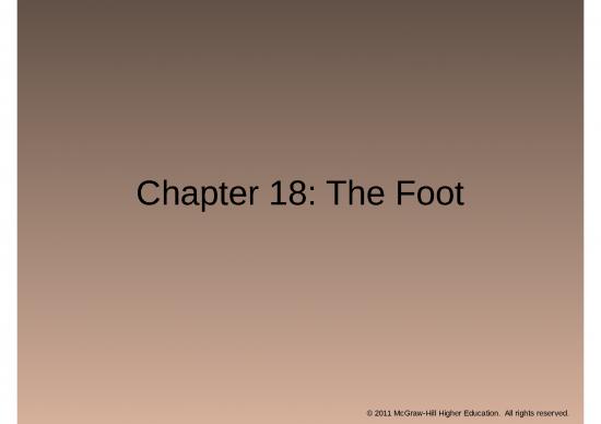 picture_Powerpoint Foot 80653 | Prentice14e Ppt Ch18foot