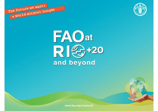picture1_Nutrition Ppt 79813 | Rioplus20 Messages En