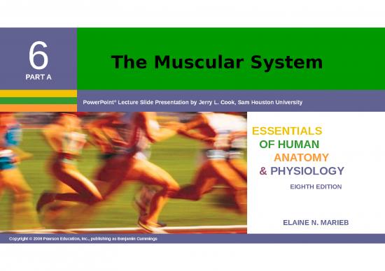 picture_The Muscular System