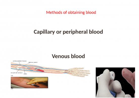 picture Blood Collection Ppt 83397 | 57113 How To Obtain Blood