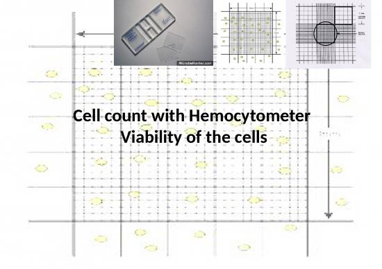 picture_Cell Counting