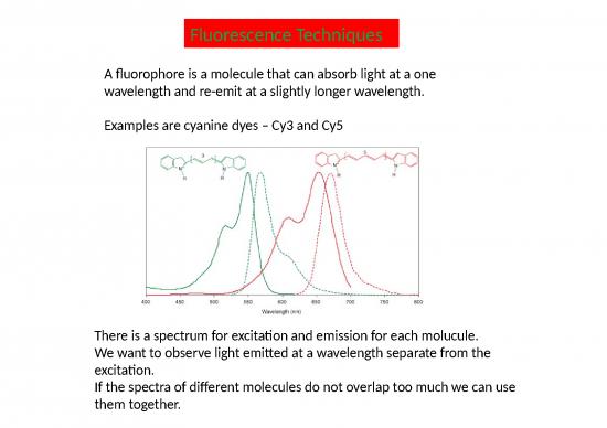 picture1_Fluorescencetechniques
