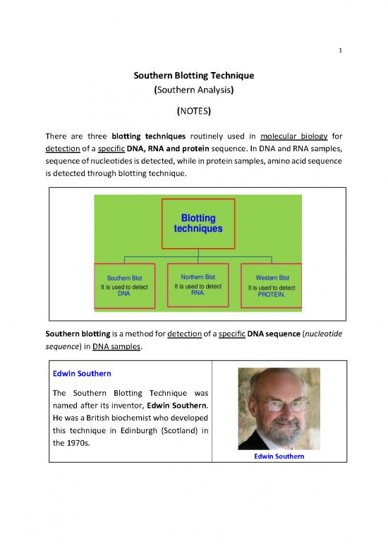 picture_Southern Blotting Pdf 86051 | 100004152