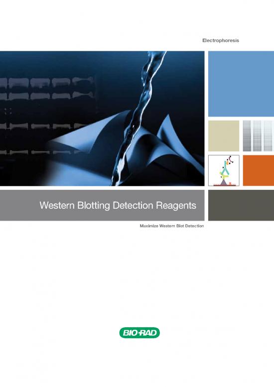 picture_Western Blot Pdf 86482 | Bulletin 2032f