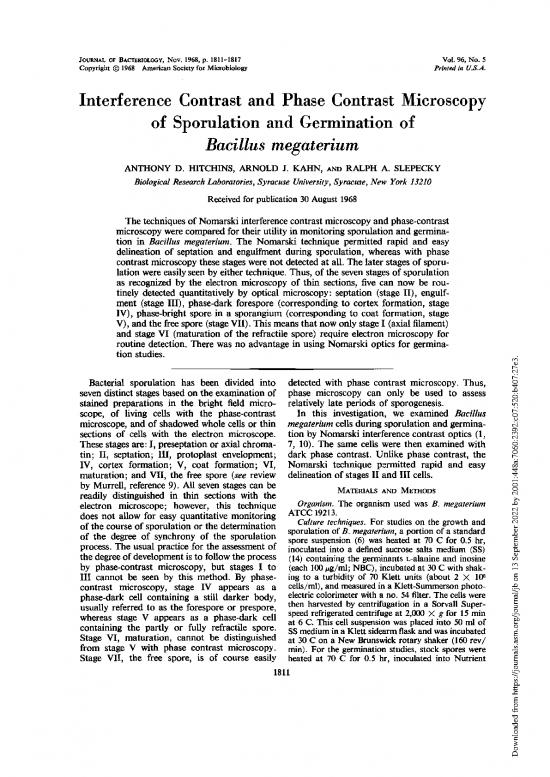 picture Phase Contrast Microscopy Pdf 85825 | Full Item Download 2022-09-14 03-18-03