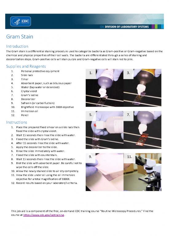 picture_Gram Staining Procedure Pdf 86519 | Gram Stain 508