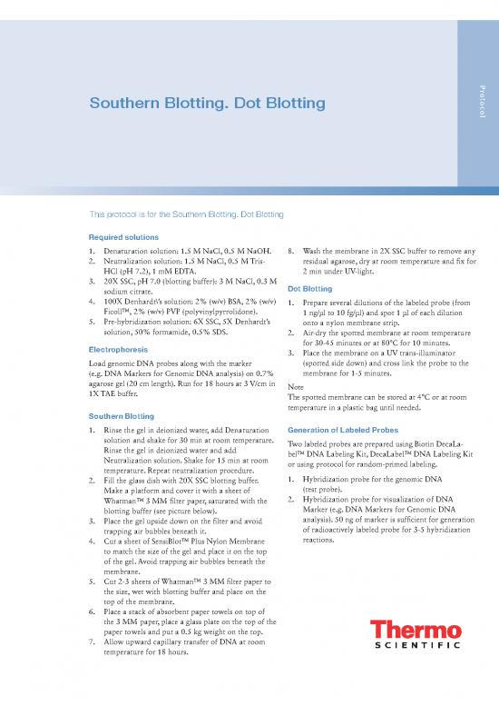 picture_Southern Blotting Pdf 85394 | Man0013296 Southern Blottin Dot Blotting Ug