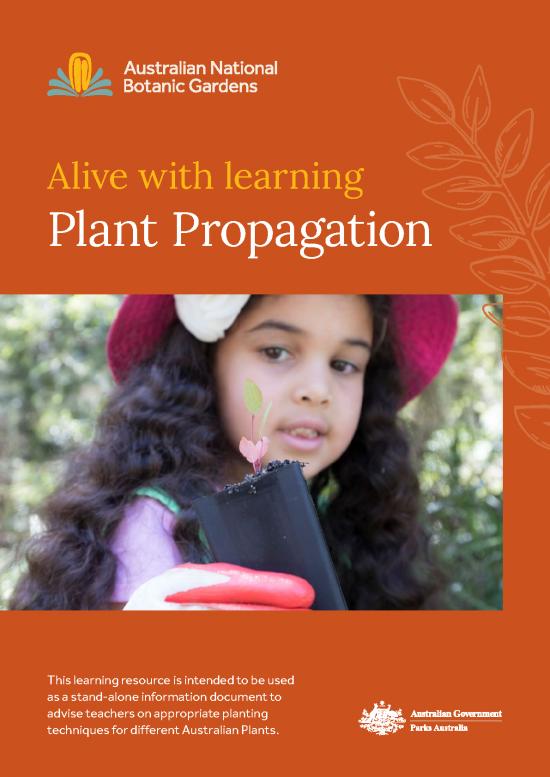 picture Plant Tissue Culture Pdf 85687 | Plant Propagation