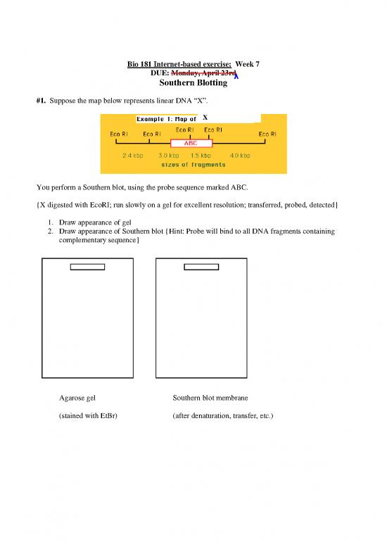 picture_Southern Blotting Pdf 86572 | Week7probe