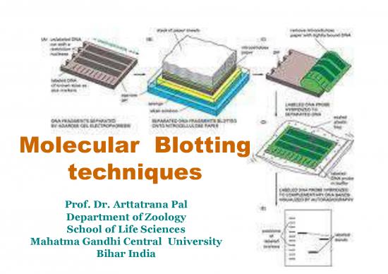 picture_Northern Blotting Pdf 87844 | 20200415080714020f0ae820