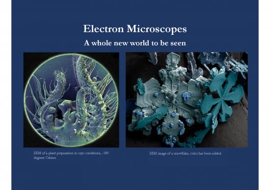 picture_Types Of Microscopy Pdf 86890 | Electron Microscopes 656826 7