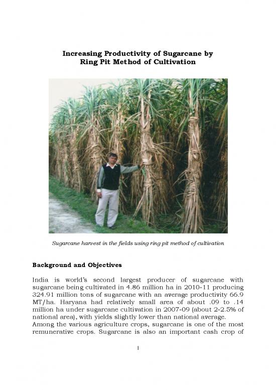 picture_Agriculture Thesis Pdf 88046 | Increasing Productivity Of Sugarcane