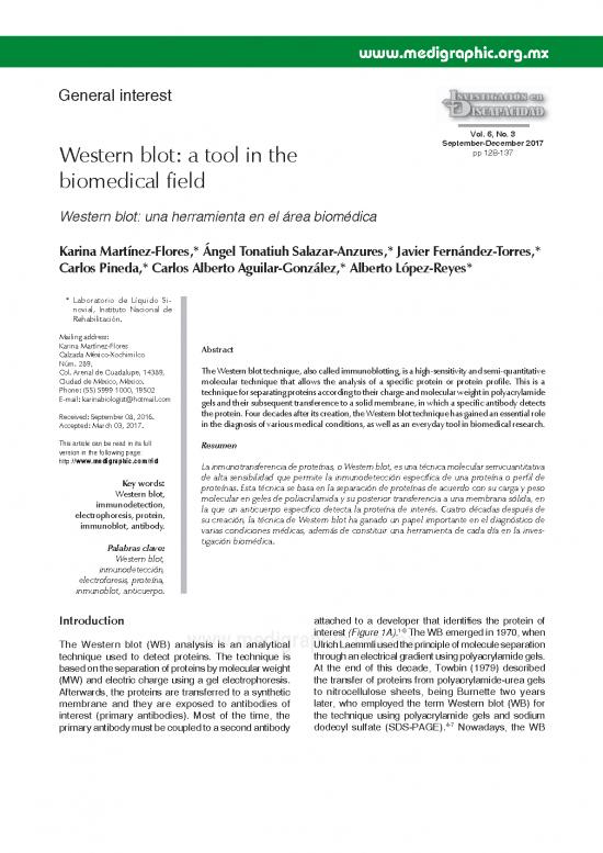 picture Western Blot Pdf 86887 | Ir173e
