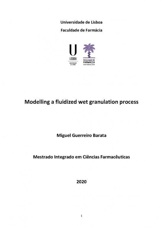 picture1_Wet Granulation Process Pdf 88993 | Micf Miguel Barata