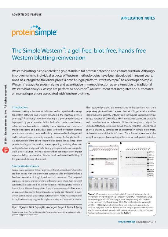 picture_Western Blot Pdf 86926 | Nmet353