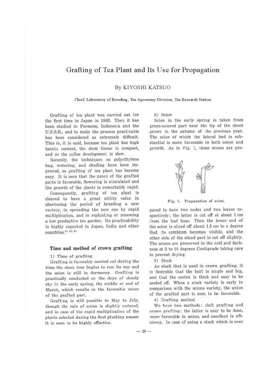picture1_Grafting Pdf 90023 | 04 2 028 031 0