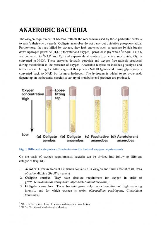 picture1_The Presence Process Pdf 90021 | Anaerobic Bacteria