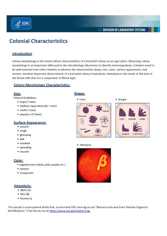 picture1_Color Therapy Pdf 89453 | Colonial Characteristics Branded 508