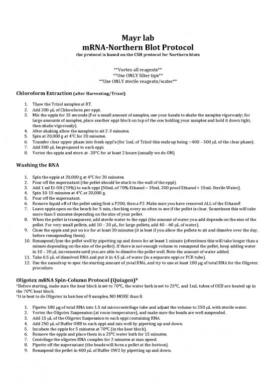 picture1_Pdf Spin 90235 | Northern Blot Protocol