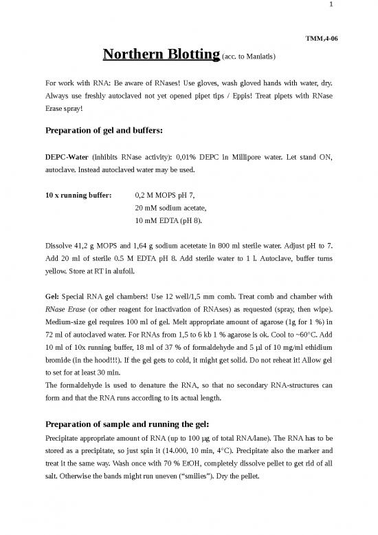 picture_Northern Blotting Pdf 90143 | P 043 Northern Blotting