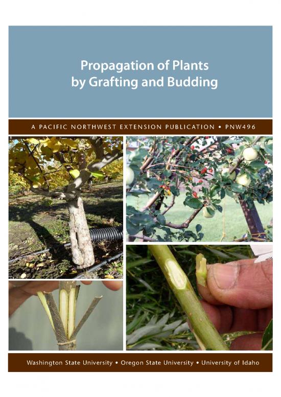 picture_Plant Propagation Methods Pdf 89804 | Plantpropagationgraftingbuddin