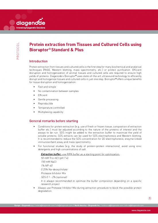 picture1_Protein Extraction From Tissues And Cultured Cells Protocol Standard Plus