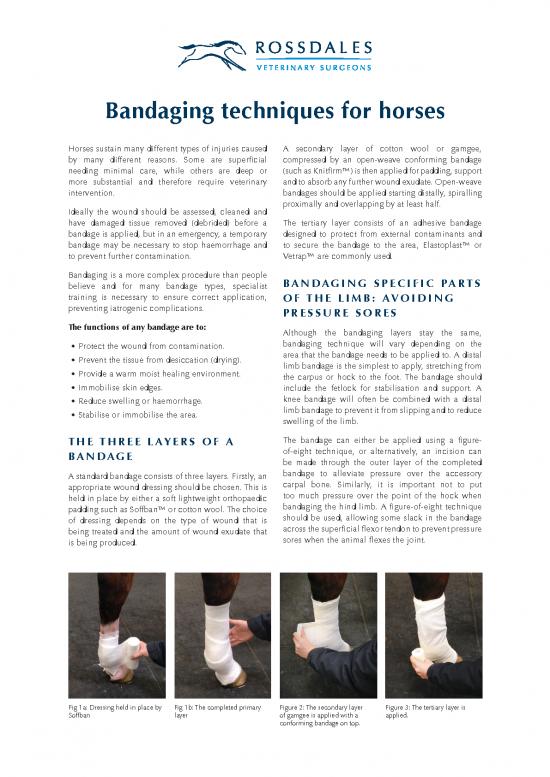 picture_Bandaging Pdf 92418 | Bandaging Techniques For Horses