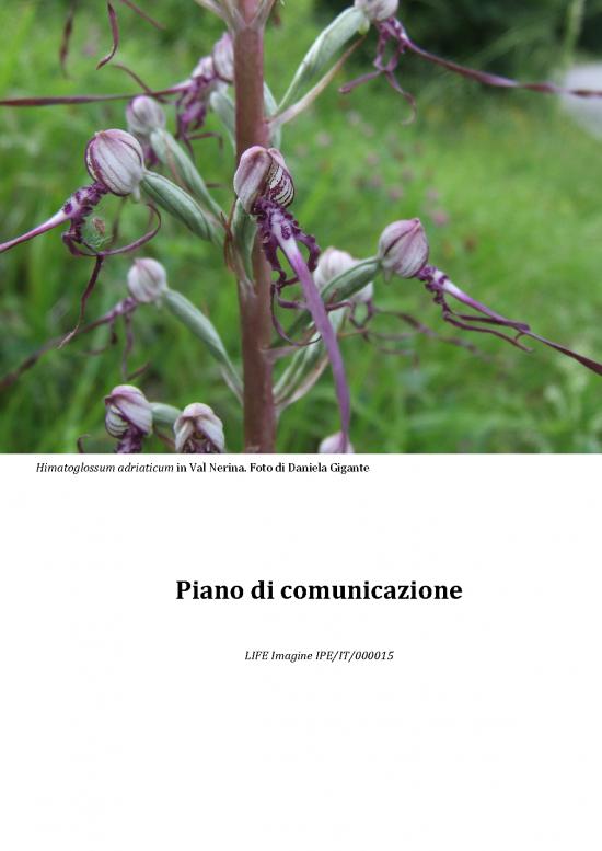 picture_Piano Pdf 94063 | Imagine Piano Di Comunicazione Def