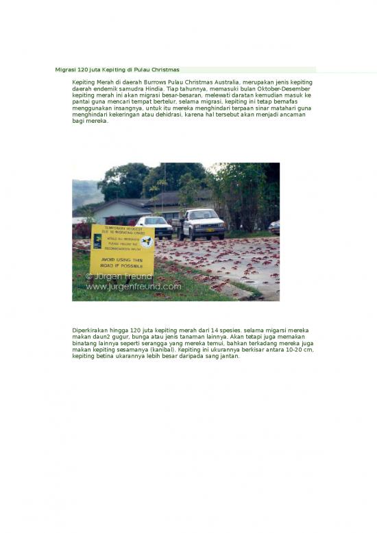 picture_Migrasi 120 Juta Kepiting Di Pulau Christmas | Perikanan Dan Kelautan