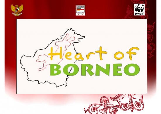 picture1_Project Management Spread Sheet 9198 | Heart Of Borneo Initiatives  By Wwf | Kehutanan