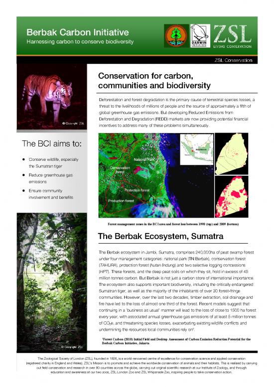 picture_Financial Spreadsheet 9220 | 05 Berbak Carbon Initiative   Info Sheet | Kehutanan