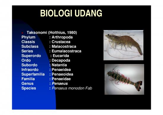 picture1_Udang Item Download 2022-06-29 15-17-01 | Pertanian Dan Peternakan