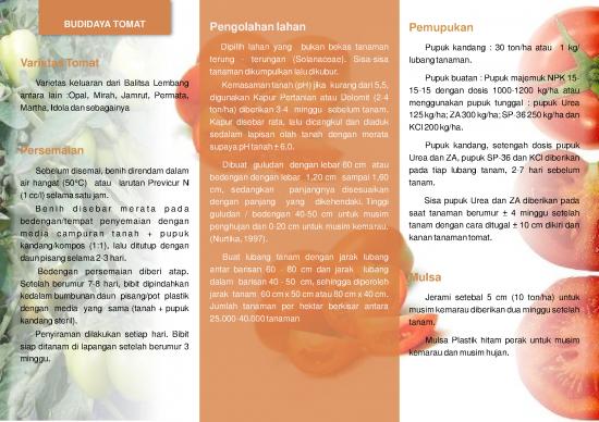 picture1_Pertanian Pdf 9516 | Budidaya Tomat | Pertanian Dan Peternakan