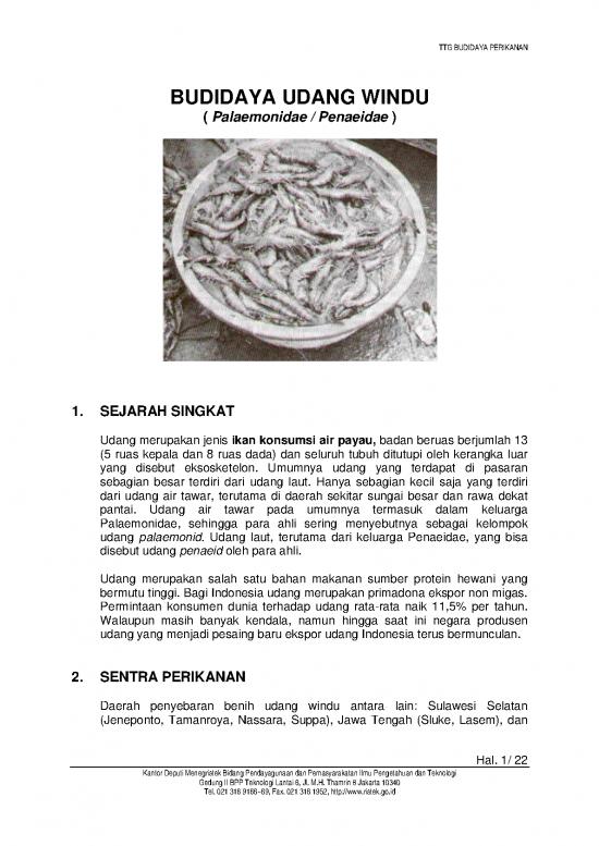 picture_Udang Windu | Pertanian Dan Peternakan