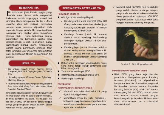 picture_Presentasi Usaha 9701 | X Beternak Itik | Pertanian Dan Peternakan