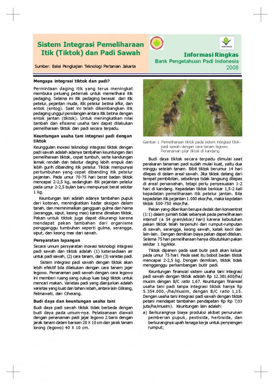 picture_Presentasi Usaha 9711 | X Sistem Integrasi Pemeliharaan Itik  Tiktok  Dan Padi Sawah | Pertanian Dan Peternakan