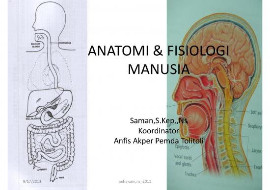 picture_Darah Pdf 9815 | Anatomi Fisiologi Manusia Mkss Ok | Ilmu Kesehatan