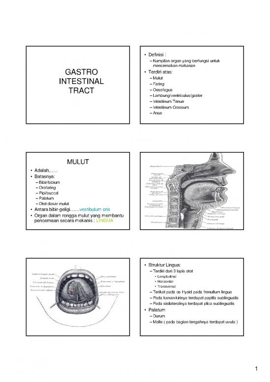 picture_Gastro Intestinal Tract | Ilmu Kesehatan
