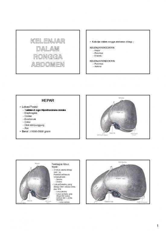 picture1_Darah Pdf 9916 | Kelenjar Dalam Rongga Abdomen | Ilmu Kesehatan