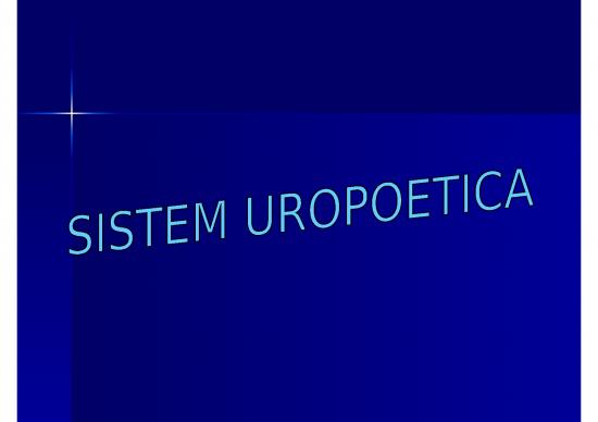 picture1_Sistem Urepuetica | Ilmu Kesehatan