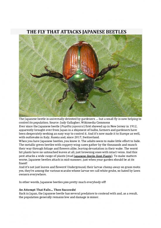 picture1_Japanese Pdf 103212 | The Fly That Attacks Japanese