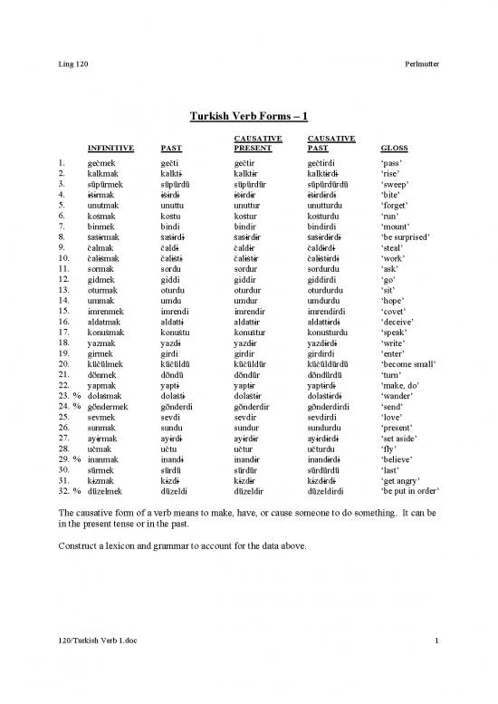 picture1_Turkish Verbs 1 Data