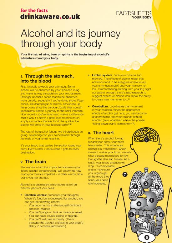 picture_Journey Out Of The Body Pdf 116892 | Alcohol And Its Journey Through The Body