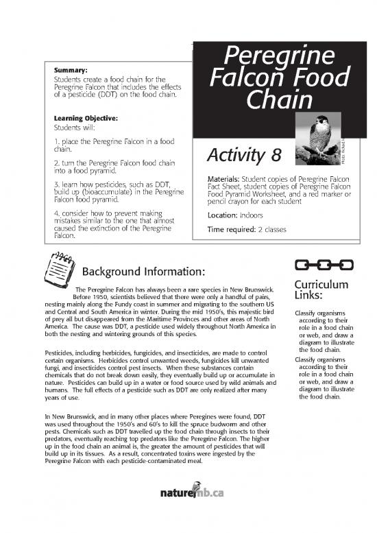 picture Food Pyramid Pdf 134052 | Activity 8 Peregrine Falcon Food Chain